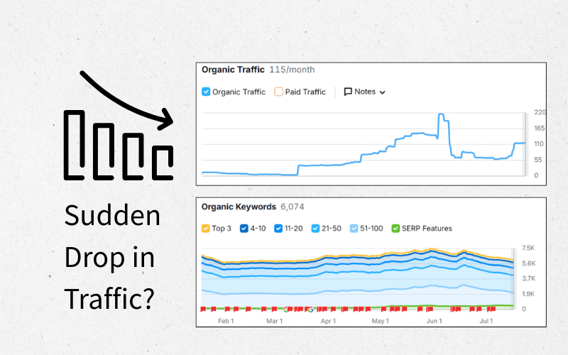 sudden drop in your website's organic traffic
