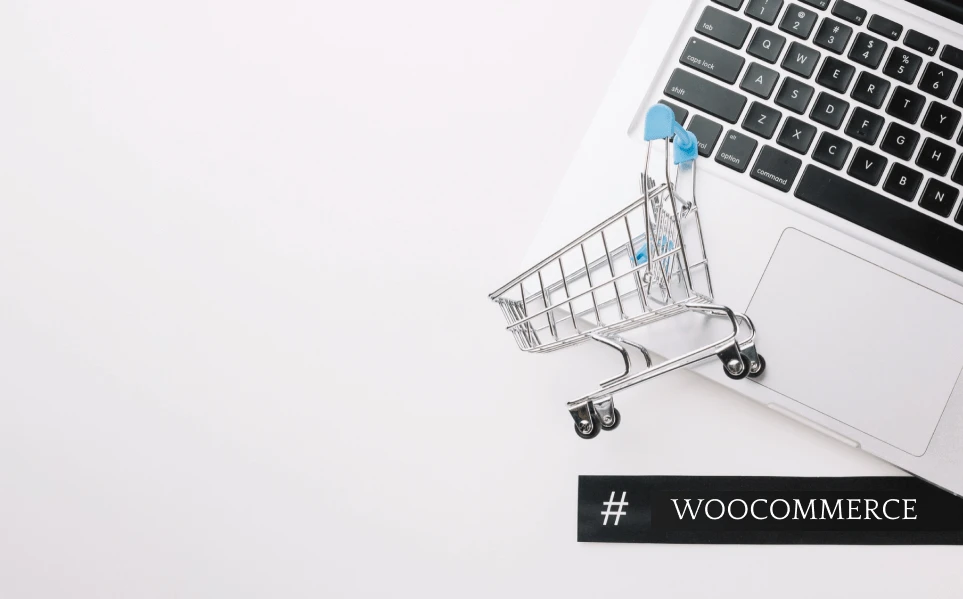 WOOCOMMERCE DEVELOPMENT